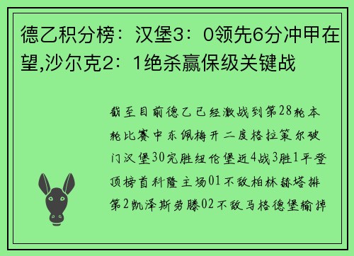德乙积分榜：汉堡3：0领先6分冲甲在望,沙尔克2：1绝杀赢保级关键战